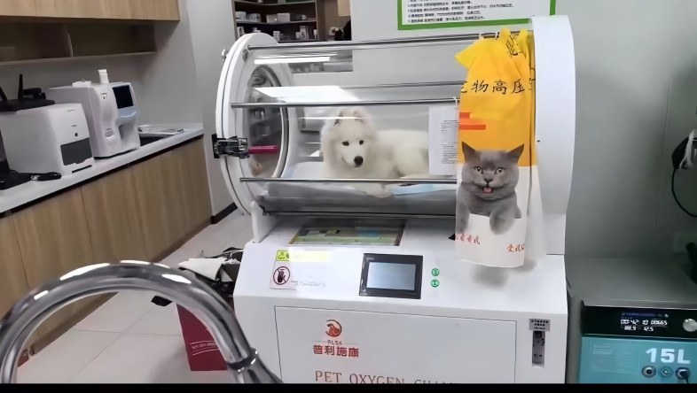 公司办公环境